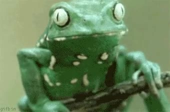 cara,rascar,lugar,picar