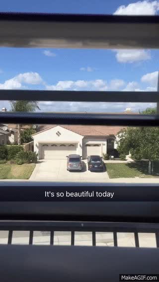 día,precioso,quedarse,casa,viciando,steam