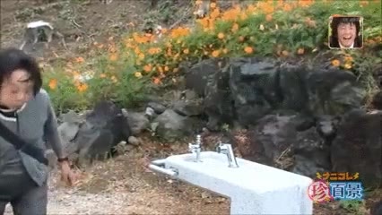 broma,pesada,fuente,japón,mala leche