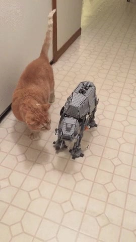 tipo,mutaciones,gen&eacute;ticas,colegas