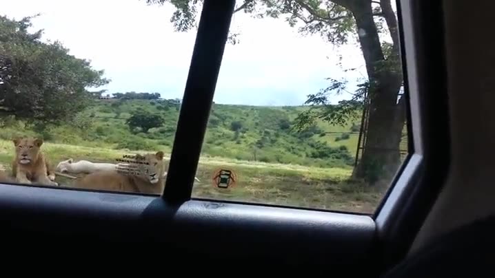 abres,paquete,chicles,amigos,cerca