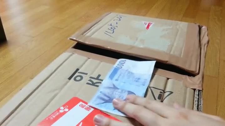 gatos,pasarse,banco,caja