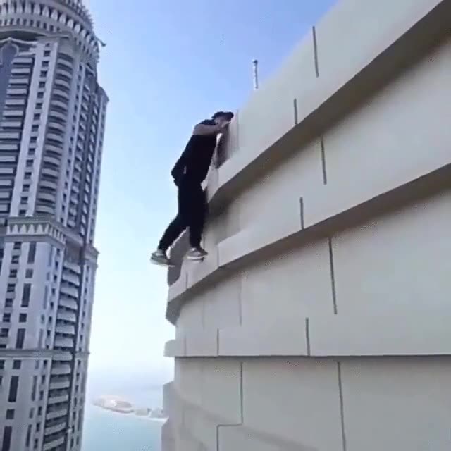 palmas,manos,secas,escalar,superficie,edificio
