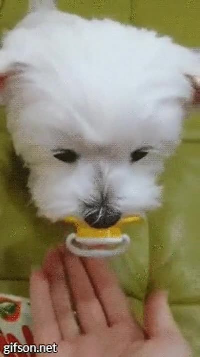 chupete,activar,modo,adorable,segundos