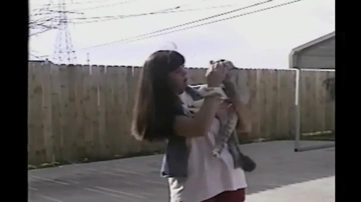 gente,destinada,gato