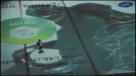 triste,pista,hockey,ilusi&oacute;n,tibur&oacute;n,peligro