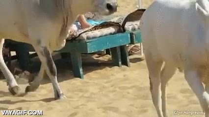t&iacute;pico,d&iacute;a,agosto,playa,familia