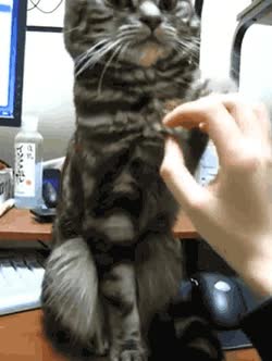 ok,tener,bastante,humano,l&aacute;rgate