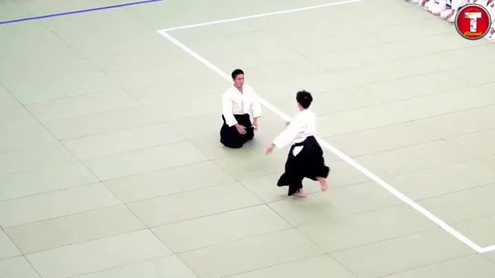 pelear,nunca,maestro,aikido