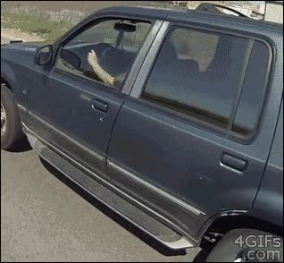 mamá. olvidado,coche,moto,taza,café