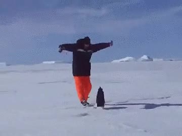 ping&uuml;ino,derribar,presa,energia,ki