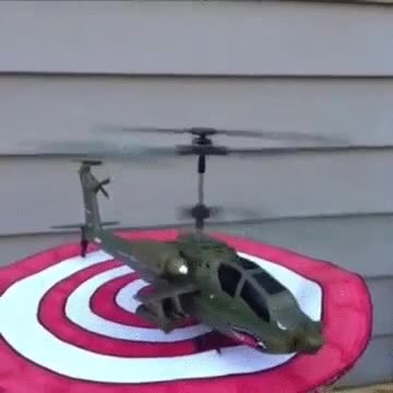 mejor,sitio,diana,pista,aterrizaje,helicoptero,perro