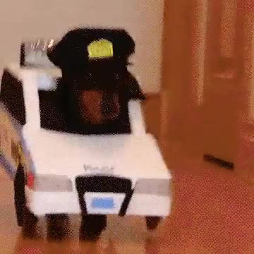perros,jugando,policias,ladrones