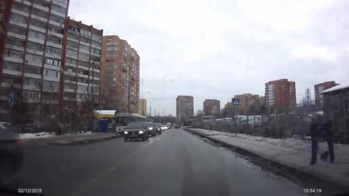 fe,humanidad,restaurada,parando,tr&aacute;fico,ayudar,cachorro