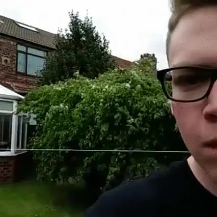 aut&eacute;ntico,maestro,tirar,cosas,atr&aacute;s