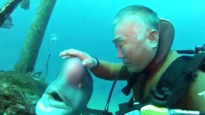 abuelete,pez,25 a&ntilde;os,caranto&ntilde;as