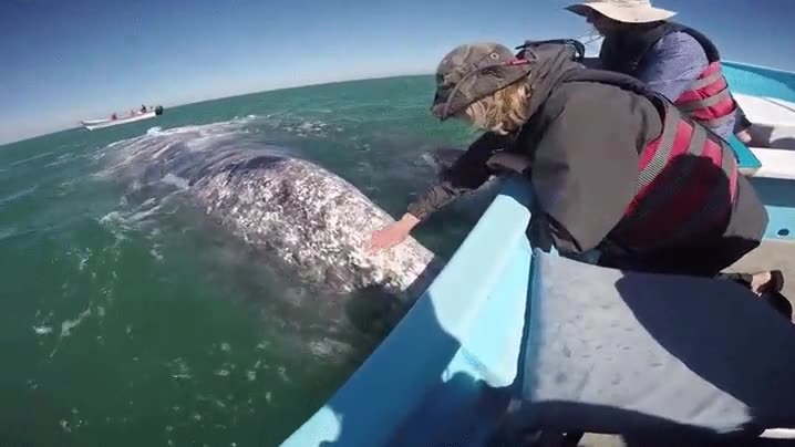 duros,seamos,fondo,necesitar,cari&ntilde;o