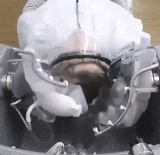 robots,hacen,masajes,relajantes,peluquero