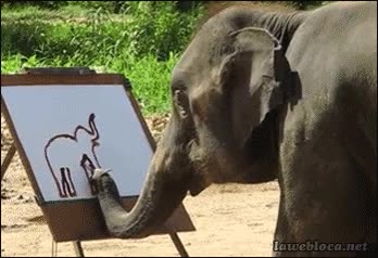 elefante,dotes,art&iacute;sticas,personas