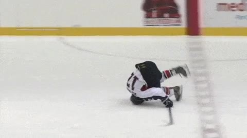 golazo,cebraci&oacute;n,hockey,mejor