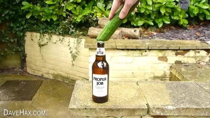sorprendente,manera,abrir,cerveza,pepino