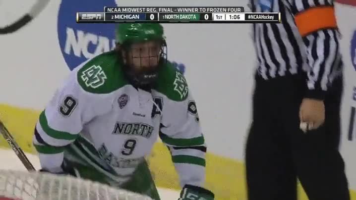 &aacute;rbitro,llevar,por delante,jugador,hockey