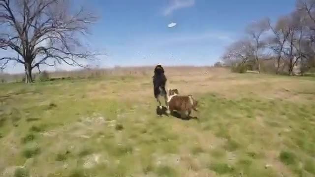 elegir,mejor momento,parte,&eacute;xito