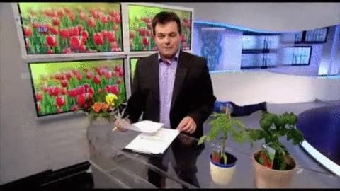 Cuando la lías por la tele en directo e intentas pasar desapercibido liar,pasar,desapercibido,tele,programa,snake