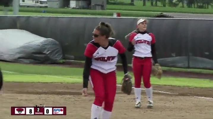 perro,interrumpir,partido,softball,repentina