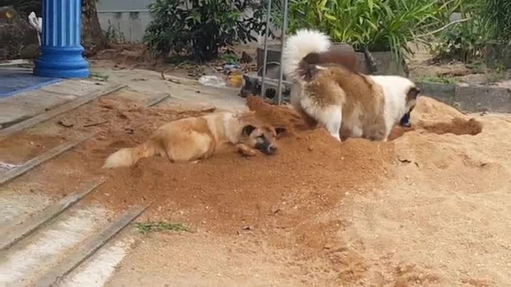 t&iacute;pico,d&iacute;a,quieres,hacer,siesta,casa,ruido