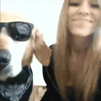 dicen,perros,parecer,due&ntilde;os,chica,gafas