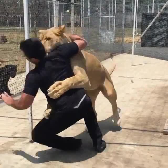 casa,madre,meses,verla,abrazo,leon