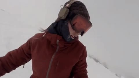 tranquila,dar cuenta,persiguiendo,oso