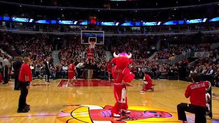 cumples,trabajo,irte,casa,mascota,bulls,tiro,espaldas,basket