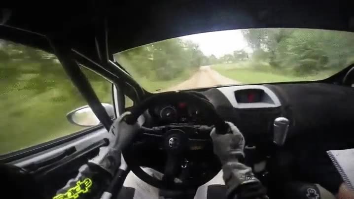 vista,primera persona,conductor,rally