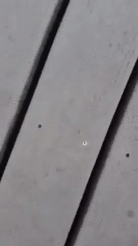 vida,ense&ntilde;a,quien,observando