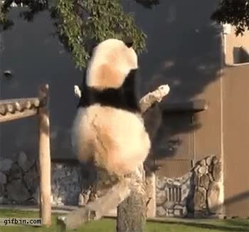 momento,exacto,pensar,igual,apuntarse,gimnasio