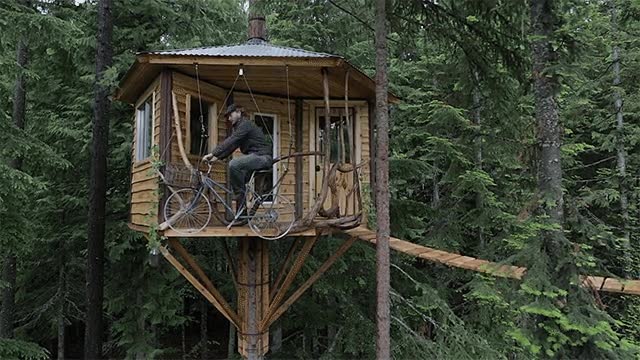cari&ntilde;o,trabajo,casa,arbol,bici caida