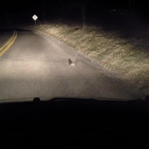 esperar,texturas,juego,loading,logo