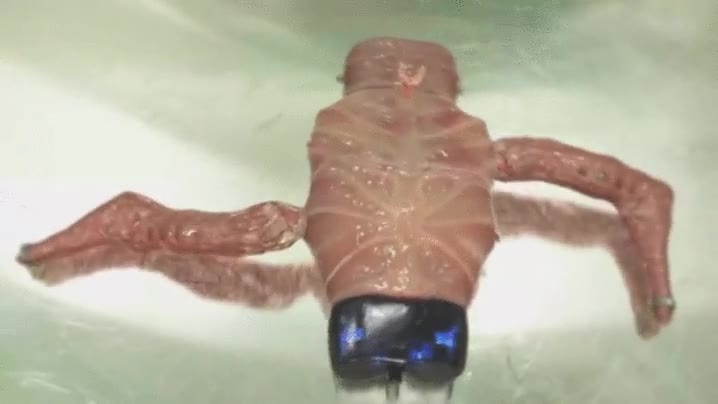 jugar,dioses,acabar,pagando