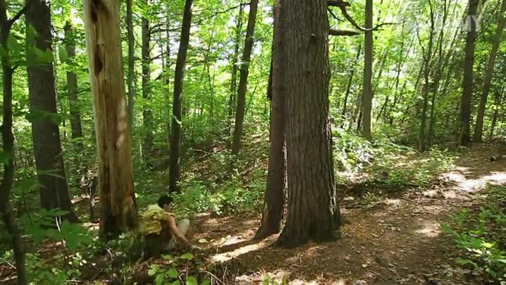 superviviente,bosqueñ salto,rama,realidad