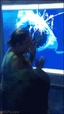 se&ntilde;oras,no preparadas,tecnolog&iacute;a,tibur&oacute;n