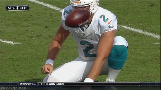 jugador,miami dolphins,preparado,recoger,pelota