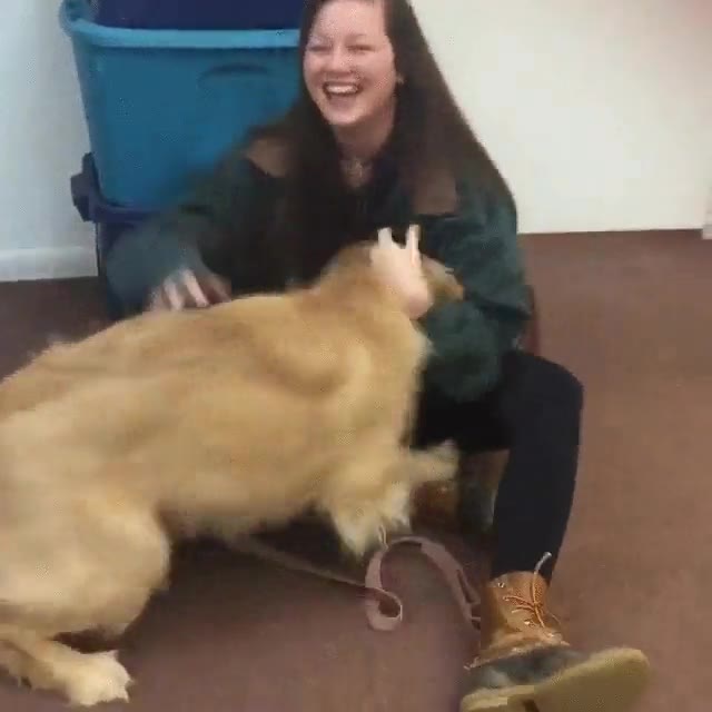 necesito,alguien,en mi vida,quiera,tanto