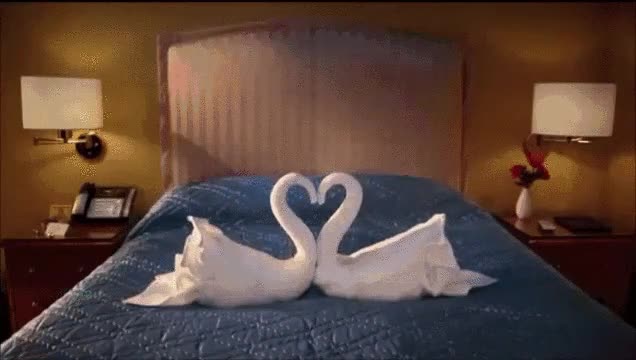 toallas,patas,cisnes,rom&aacute;ntico,esperar,final