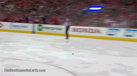 portero,hockey,profesional,parar,tiro,f&aacute;cil