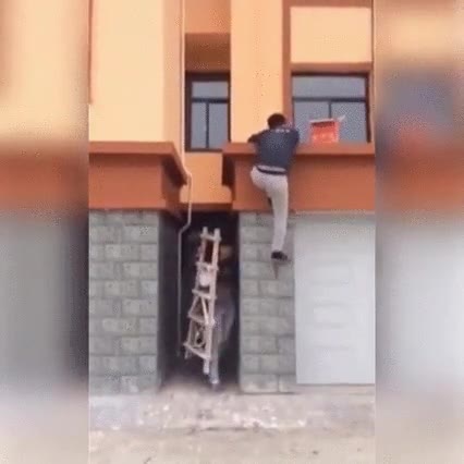 trollear,compañero,trabajo,escalera