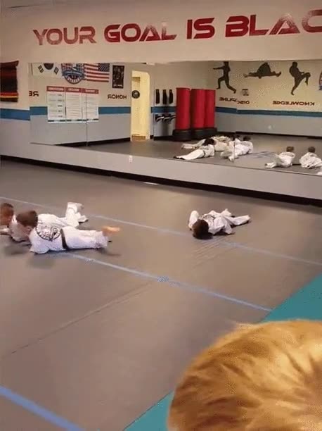 descripci&oacute;n,gr&aacute;fica,llevar,universidad,alturas,a&ntilde;o