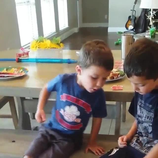 perro,listo,todos,aprovechar,distracciones