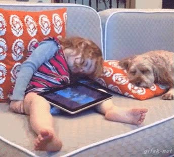 suena,alarma,inoportuno,perro